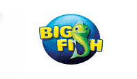 Code reduction Big Fish Games