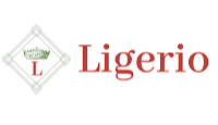 Code reduction Ligerio et code promo Ligerio